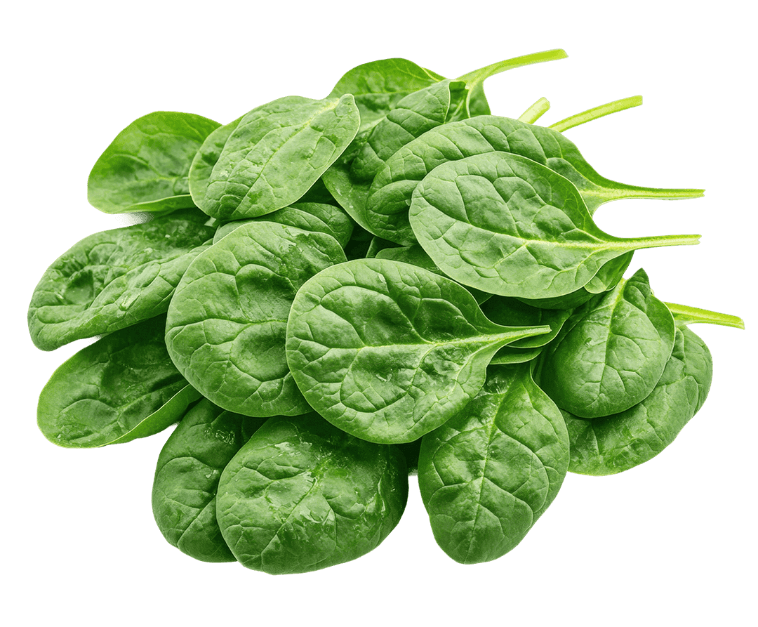 Spinach